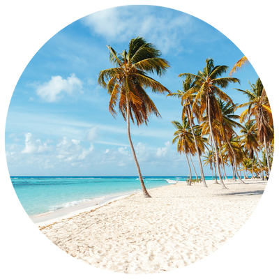 Tropical beach with palm trees for a luxury honeymoon in the Caribbean