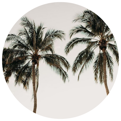 Puerto Vallarta