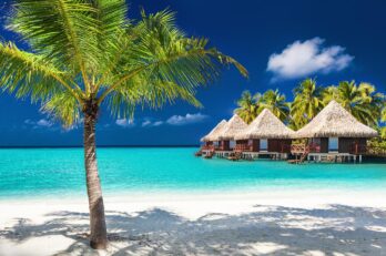 Half the Price and Twice the Vacation? Yes, Please!