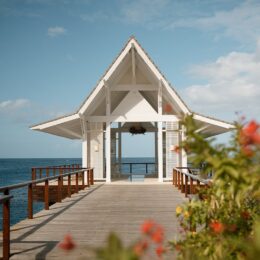 Disney Honeymoon Packages: Your 2026 Guide to Enchanted Romance